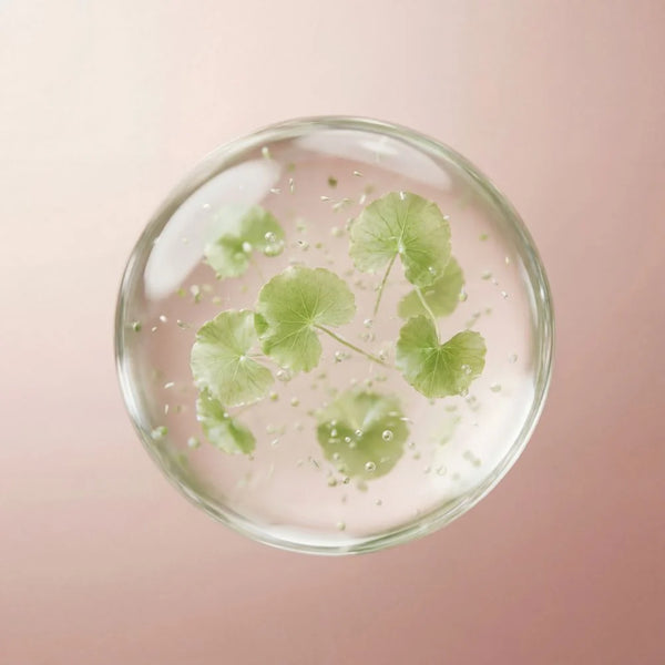 Centella asiática