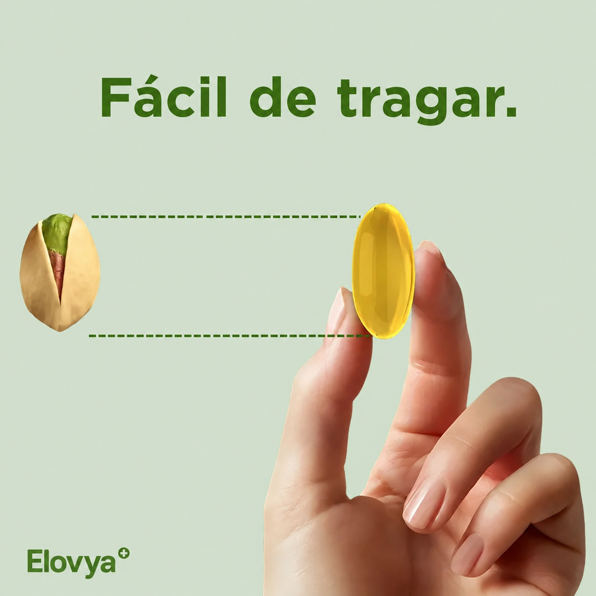 Elovya - OregaMix
