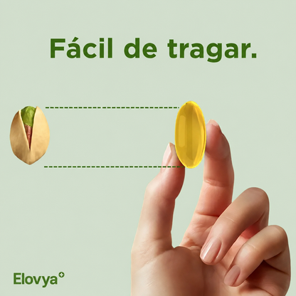 Elovya - OregaMix